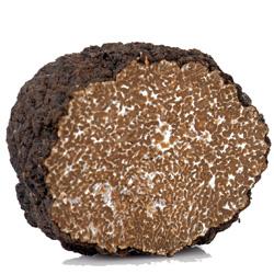 Tartufo Nero Estivo