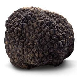 tartufo nero