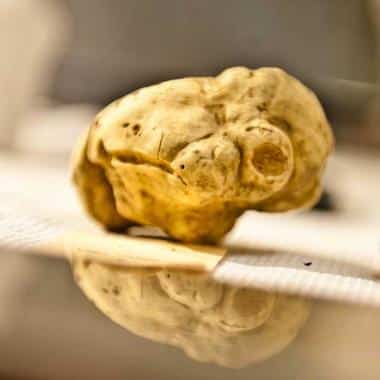 Tartufo BIanco Pregiato