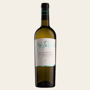 Verdicchio dei Castelli di Jesi DOC Calssico Superiore - Fontanavecchia - Molise Food
